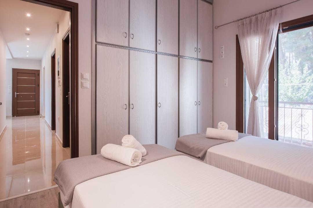Luxury Moi Apartment In Bafra Village Ioannina Exterior photo